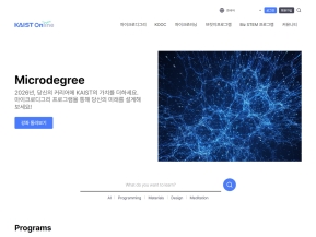 KAIST-Online 인증 화면